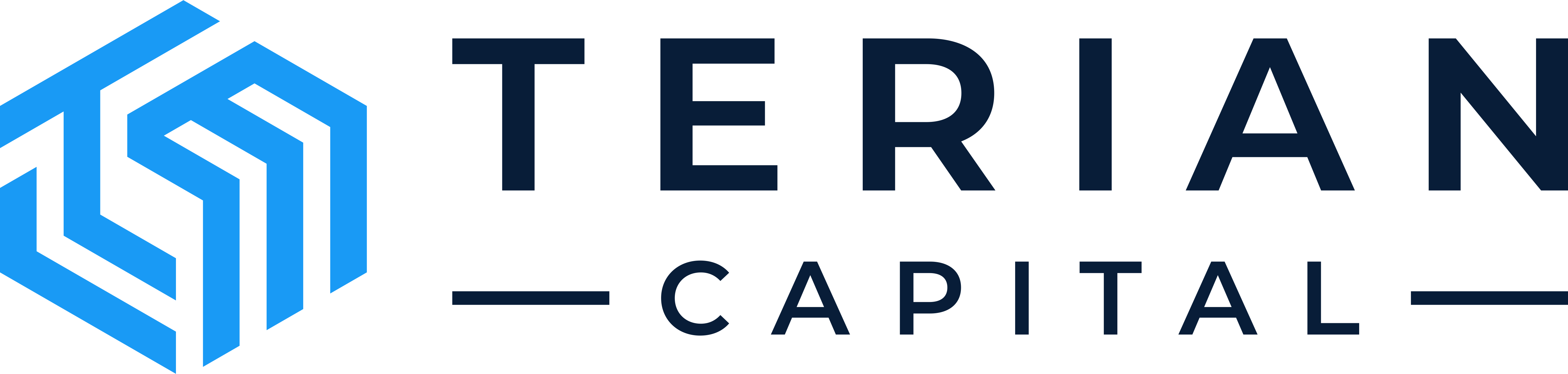 Terian Capital logo